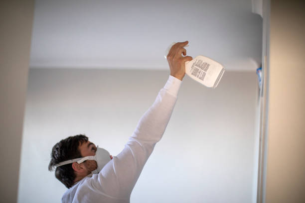Best Emergency Mold Remediation in Anniston, AL